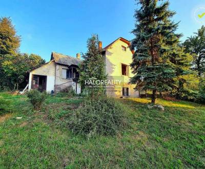 Sale Family house, Žarnovica, Slovakia