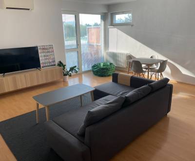 Rent One bedroom apartment, One bedroom apartment, Školská, Pezinok, S