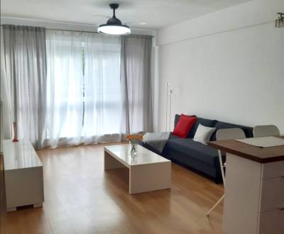 Rent One bedroom apartment, One bedroom apartment, Staré grunty, Brati