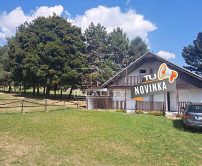 Sale Cottage, Michalovce, Slovakia