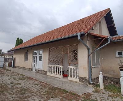 Sale Family house, Family house, Topoľčany, Slovakia