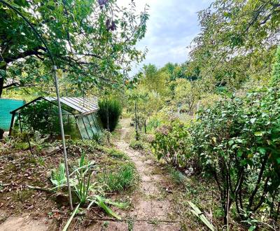 Sale Gardens, Gardens, Košice - Juh, Slovakia