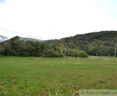 Sale Agrarian and forest land, Agrarian and forest land, Bardejov, Slo