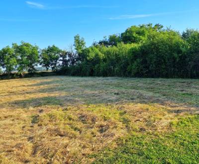 Sale Land – for living, Land – for living, Michalovce, Slovakia