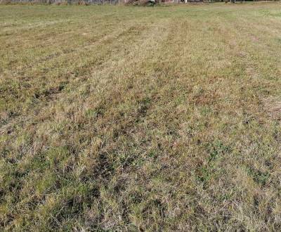 Sale Land – for living, Land – for living, Martin, Slovakia