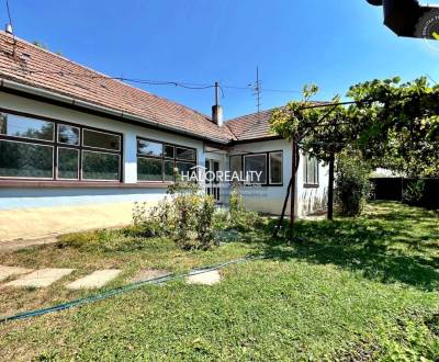 Sale Cottage, Levice, Slovakia