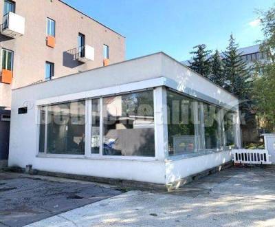 Rent Commercial premises, Commercial premises, A. Hlinku, Prievidza, S