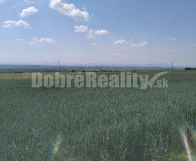 Sale Agrarian and forest land, Agrarian and forest land, Galanta, Slov