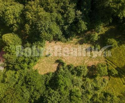 Sale Land – for living, Land – for living, Viničná cesta, Žarnovica, S