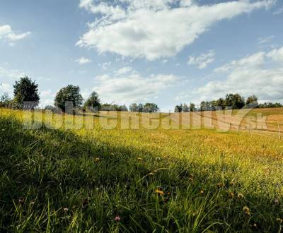 Sale Land – for living, Land – for living, Vrchdobroč, Detva, Slovakia