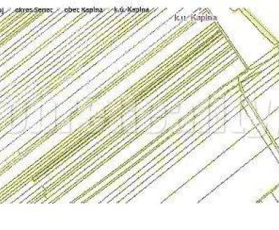 Sale Agrarian and forest land, Agrarian and forest land, Senec, Slovak