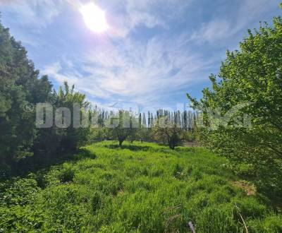 Sale Land – for living, Land – for living, Nový rad, Šaľa, Slovakia