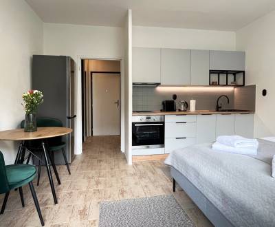 Rent Single studio, Single studio, Blagoevova, Bratislava - Petržalka,