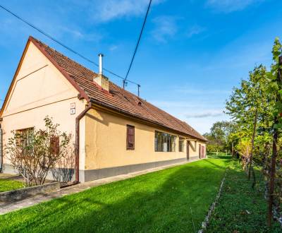 Sale Family house, Family house, Malinovská, Senec, Slovakia