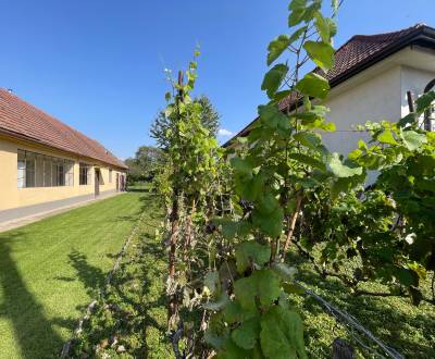 Sale Family house, Family house, Malinovská, Senec, Slovakia