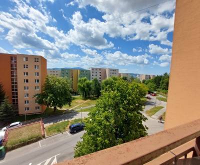 Rent One bedroom apartment, One bedroom apartment, Šafárikova, Trenčín