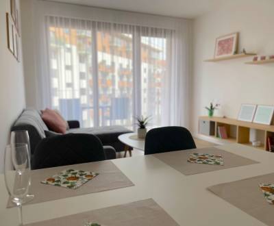 Rent One bedroom apartment, One bedroom apartment, Košická, Bratislava