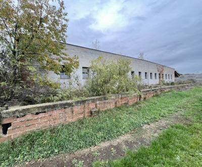 Sale Production premises, Production premises, neuvedená, Dunajská Str