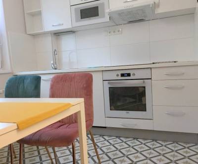 Rent One bedroom apartment, One bedroom apartment, Krížna, Bratislava 