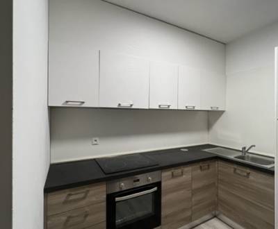 Rent One bedroom apartment, One bedroom apartment, Bratislava - Ružino