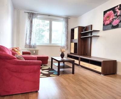 Rent One bedroom apartment, One bedroom apartment, Záhradná, Skalica, 