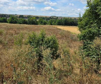 Sale Land – for living, Land – for living, Trnava, Slovakia