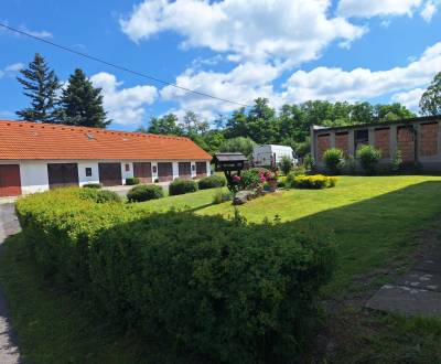 Sale Storehouses and Workshops, Storehouses and Workshops, Zvolen, Slo