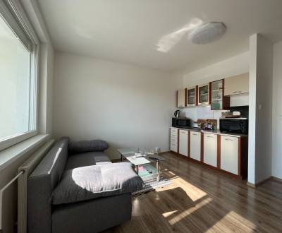 Rent Single studio, Single studio, Holíčska, Bratislava - Petržalka, S