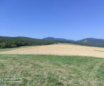 Sale Recreational land, Recreational land, Martin, Slovakia