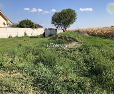 Sale Land – for living, Senec, Slovakia