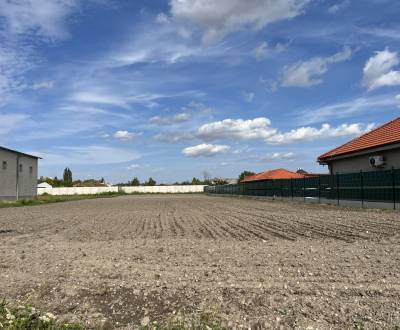 Sale Land – for living, Land – for living, Dunajská Streda, Slovakia