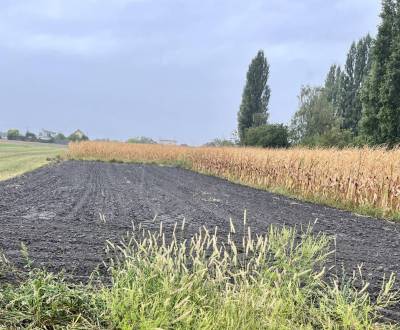 Sale Land – for living, Land – for living, Dunajská Streda, Slovakia