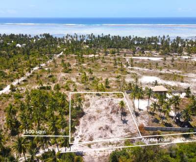 Beautiful Land near the Beach in Bwejuu