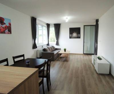 Rent Two bedroom apartment, Two bedroom apartment, Malokrasňanská, Bra