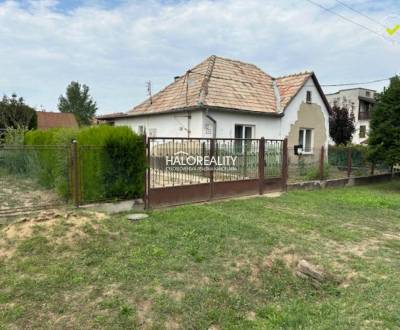 Sale Family house, Trebišov, Slovakia