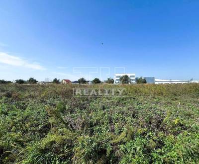 Sale Land – for living, Senec, Slovakia