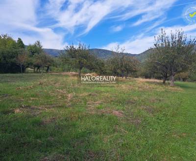 Sale Land – for living, Žarnovica, Slovakia