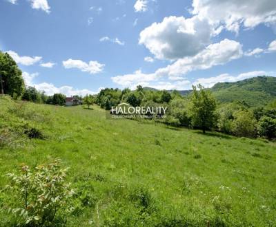 Sale Recreational land, Žarnovica, Slovakia