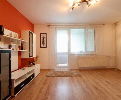 Sale Two bedroom apartment, Two bedroom apartment, Užhorodská, Michalo