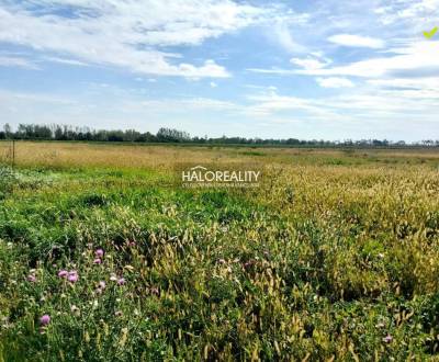 Sale Land – for living, Nitra, Slovakia