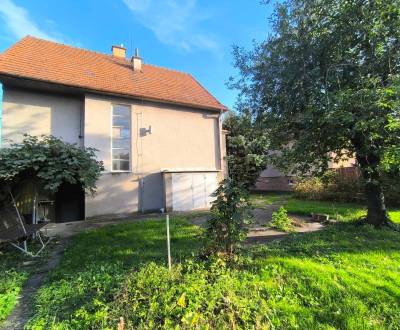 Sale Family house, Family house, Partizánske, Slovakia