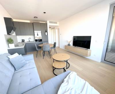 Rent One bedroom apartment, One bedroom apartment, Bottova, Bratislava