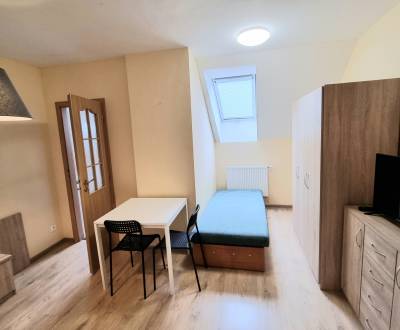 Rent Single studio, Single studio, Hlavná, Trnava, Slovakia