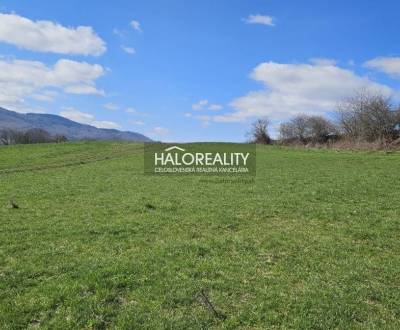 Sale Agrarian and forest land, Banská Štiavnica, Slovakia