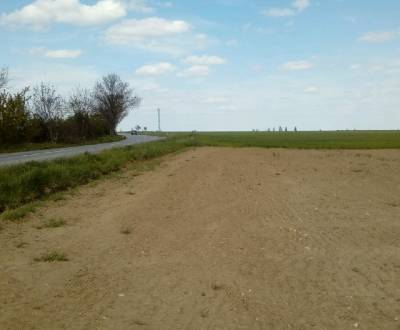 Sale Agrarian and forest land, Agrarian and forest land, Vištuk, Pezin