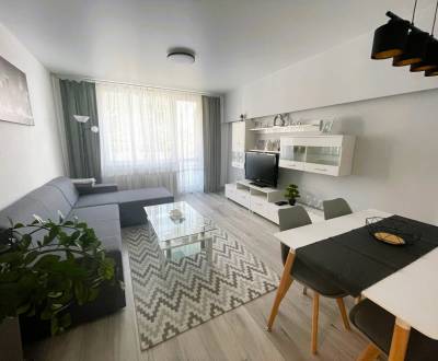 Rent One bedroom apartment, One bedroom apartment, Murgašova, Michalov