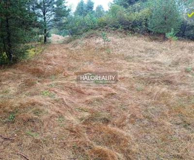 Sale Land – for living, Gelnica, Slovakia