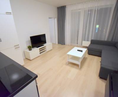 Rent One bedroom apartment, One bedroom apartment, Zuzany Chalupovej, 