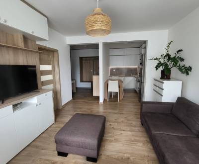 Rent One bedroom apartment, One bedroom apartment, Pekná cesta, Bratis