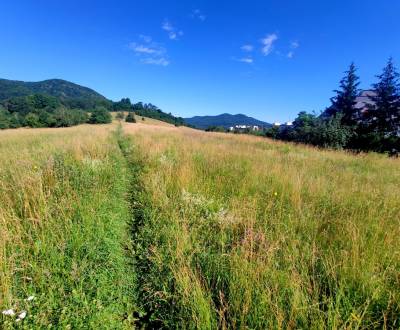 Land plots - commercial, Fraňa Kráľa, Sale, Žarnovica, Slovakia